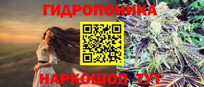 ГАЛЛЮЦИНОГЕННЫЕ ГРИБЫ Чебаркуль