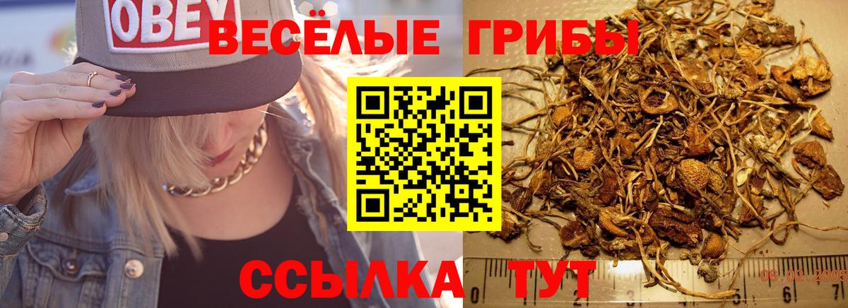 Малоярославец  Псилоцибиновые грибы мицелий  Вход с VPN 
